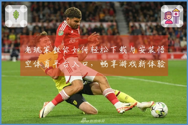 老玩家教你如何轻松下载与安装悟空体育平台入口，畅享游戏新体验