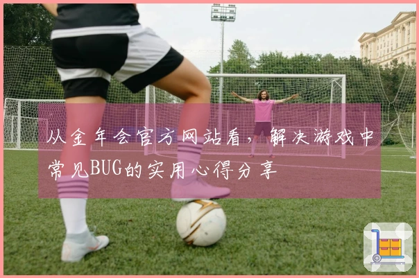 从金年会官方网站看，解决游戏中常见BUG的实用心得分享