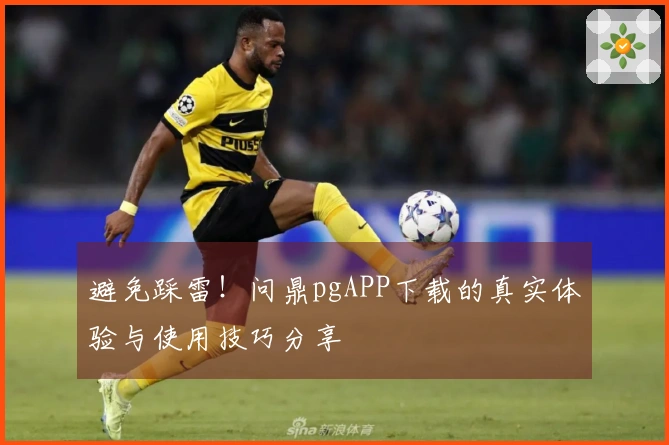 避免踩雷！问鼎pgAPP下载的真实体验与使用技巧分享
